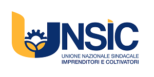 logo_UNSIC-ORIZZONTALE_300